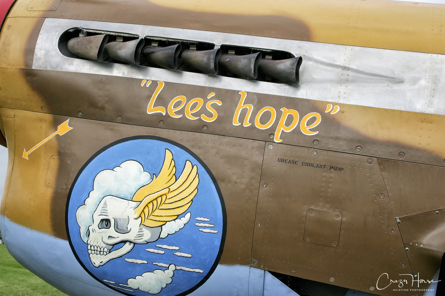 洋書 FLYING LEGENDS Flying Legends: Dibbs, John M., Holmes